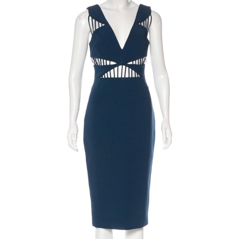 Beautiful Cushnie dress